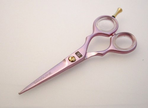 Sanguine Pink Hair Scissors and Hair Thinning Scissors Set, 5.5 inch Presentation Case/Box