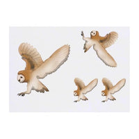 Azeeda 4 x 'Flying Barn Owl' Temporary Tattoos - Water Resistant, Skin-Safe, Non-Toxic Transfers, Mixed Sizes (TO00080668)