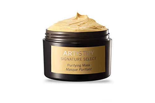 ARTISTRY SIGNATURE SELECT PURIFYING MASK