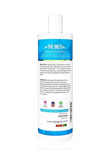 Lipogaine The Big 5 Hair Loss Prevention Conditioner With Argan Oil, Keratin, Aloe Vera
