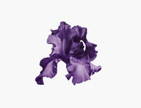 Royal Velvet Firming Eye Contour Cream