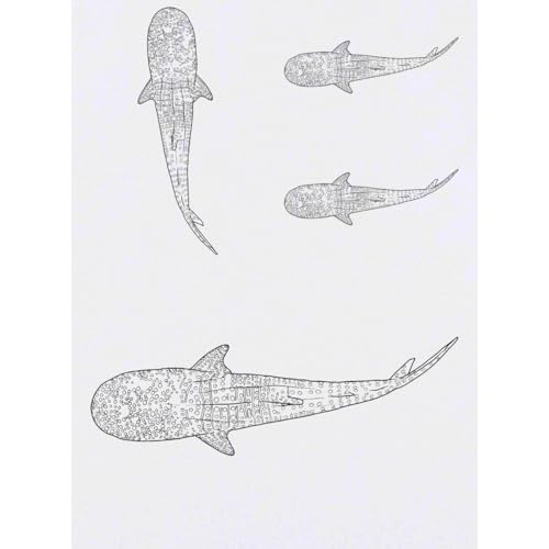 Azeeda 4 x 'Whale Shark' Temporary Tattoos - Water Resistant, Skin-Safe, Non-Toxic Transfers, Mixed Sizes (TO00071806)