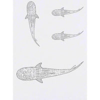 Azeeda 4 x 'Whale Shark' Temporary Tattoos - Water Resistant, Skin-Safe, Non-Toxic Transfers, Mixed Sizes (TO00071806)