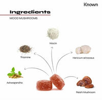 Known Mood Mushrooms Gummies – 60 Vegan Gummies 1 Month – Apple Pie