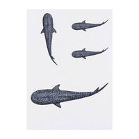 Azeeda 4 x 'Whale Shark' Temporary Tattoos - Water Resistant, Skin-Safe, Non-Toxic Transfers, Mixed Sizes (TO00071804)