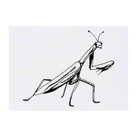 Azeeda 'Praying Mantis' Temporary Tattoo - Water Resistant, Skin-Safe, Non-Toxic Transfer (TO00032723)