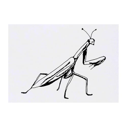 Azeeda 'Praying Mantis' Temporary Tattoo - Water Resistant, Skin-Safe, Non-Toxic Transfer (TO00032723)