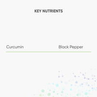 Nutri Advanced - Curcumin Megasorb - Highly Bioavailable Curcumin + Black Pepper Extract - 60 Tablets