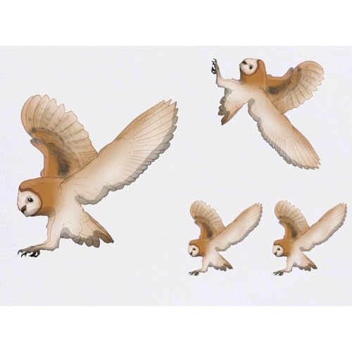 Azeeda 4 x 'Flying Barn Owl' Temporary Tattoos - Water Resistant, Skin-Safe, Non-Toxic Transfers, Mixed Sizes (TO00080668)