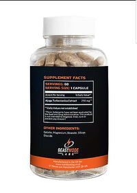 Generic Turkesterone 60 caps 500mg Daily - Natural Anabolic Supplement for Enhanced Muscle Growth and Performance- Boost Circulation, Performance & Muscle Recovery - Pure Active Ingredient