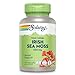 SOLARAY Irish Sea Moss 500 mg Naturally Occurring Vitamins, Minerals, and Fiber Herbal Support for Gut Health and More - Vegan, Gluten Free, Lab Verified - 60 Day Guarantee - 100 Servings, 100 VegCaps