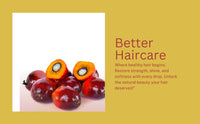 BELLE BEAUTY CARE Batana Oil For Hair, Recomended by Dr.Sebi, 120ml, 100% Pure & Natural from Honduras, 120ml by Belle Beauty Care