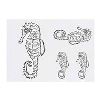 4 x 'Seahorse' Temporary Tattoos - Water Resistant, Skin-Safe, Non-Toxic Transfers, Mixed Sizes (TO00004456)