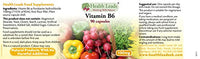 Health Leads ...Working With Nature Vitamin B6 (Pyridoxine) 100mg x 90 Capsules - Magnesium Stearate Free!