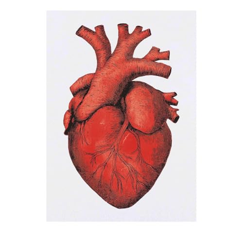 Azeeda 'Human Heart' Temporary Tattoo - Water Resistant, Skin-Safe, Non-Toxic Transfer (TO00078785)