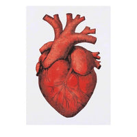 Azeeda 'Human Heart' Temporary Tattoo - Water Resistant, Skin-Safe, Non-Toxic Transfer (TO00078785)