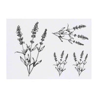 Azeeda 4 x 'Simple Lavender Plant' Temporary Tattoos - Water Resistant, Skin-Safe, Non-Toxic Transfers, Mixed Sizes (TO00076380)