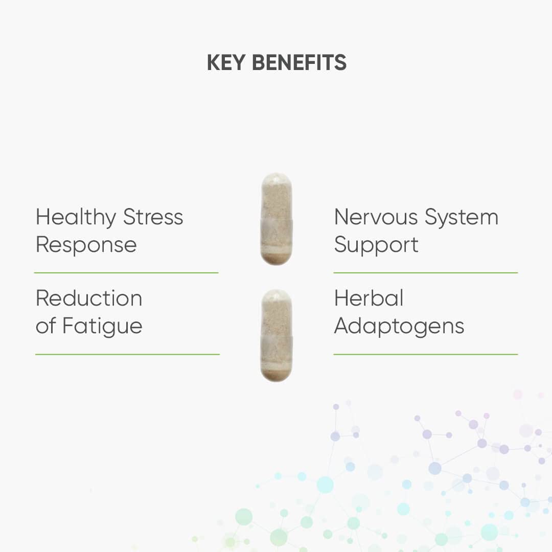 Nutri Advanced - Resilience - Stress Support with Ashwagandha, Ginseng, Lemon Balm and Mushroom Extracts with L-theanine and Vitamins - 60 Capsules