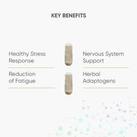 Nutri Advanced - Resilience - Stress Support with Ashwagandha, Ginseng, Lemon Balm and Mushroom Extracts with L-theanine and Vitamins - 60 Capsules