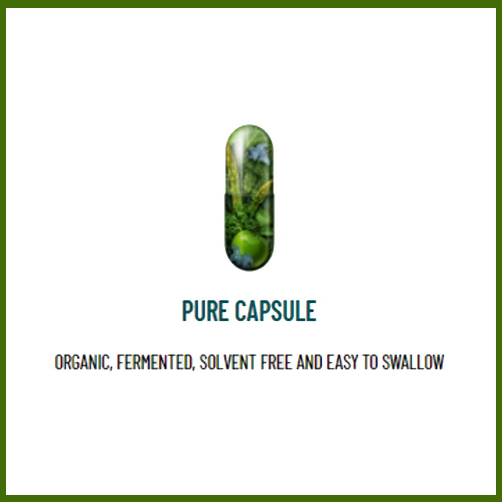 Living Nutrition Organic Your Flora Gold Spice (60 Caps) - Contains Organic Turmeric and Ginger - High in Antioxidants and Polyphenols