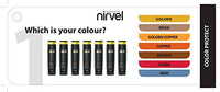 Nirvel ArtX Shampoo for coloured hair