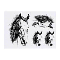 Azeeda 4 x 'Horse Portrait' Temporary Tattoos - Water Resistant, Skin-Safe, Non-Toxic Transfers, Mixed Sizes (TO00082082)
