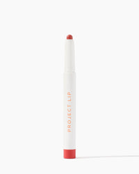 PROJECT PLUMP PROJECT LIP - PLUMP & FILL LIP LINER - SHADE FLIRT