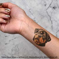 Azeeda 4 x 'Rottweiler Dog Portrait' Temporary Tattoos - Water Resistant, Skin-Safe, Non-Toxic Transfers, Mixed Sizes (TO00085740)