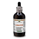 Hawaii Pharm Lomatium (Lomatium Dissectum) Dry Root Alcohol-Free Liquid Extract Glycerite 120 ml