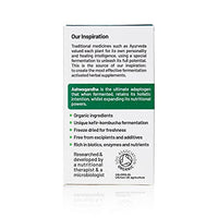 Living Nutrition Organic Fermented Ashwagandha (60 Capsules) | Support Sleep and Stress Reduction | 600mg Fermented Ashwagandha per Serving