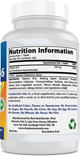 Vitamin B-6 100 mg 250 Tablets by Best Naturals (250 Count (Pack of 2))