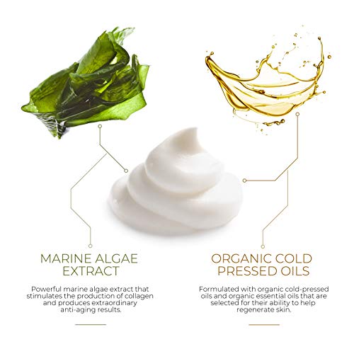 Epigenetics Wonder Epicollagen Serum 45g | Premium Anti-Aging Collagen Serum | Naturally Stimulate Collagen Production | Marine Algae Extract | UK Made