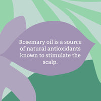 FAITH IN NATURE Faith In Nature Rosemary Hair Mask, Stimulating Deep Treatment for Normal Hair & Scalp, Vegan & Cruelty Free, No SLS, Silicones or Parabens, 300ml