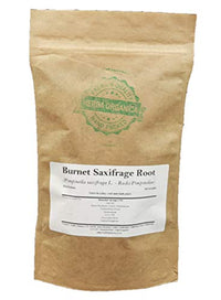 Herba Organica - Burnet Saxifrage Root - Pimpinella Saxifraga L - Herbal Tea (100g)