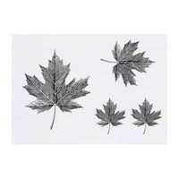 Azeeda 4 x 'Maple Leaf' Temporary Tattoos - Water Resistant, Skin-Safe, Non-Toxic Transfers, Mixed Sizes (TO00084570)