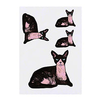Azeeda 4 x 'Sphynx Cat' Temporary Tattoos - Water Resistant, Skin-Safe, Non-Toxic Transfers, Mixed Sizes (TO00015043)