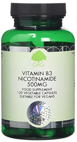 Vitamin B3 Nicotinamide 500mg | Non-Flush High Strength Vitamin B3 | 120 Vegan Capsules | G&G Vitamins