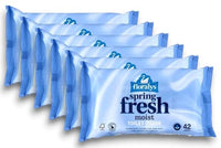 6X Floralys - Aldi | Spring Fresh - Wet Toilet Wpies/Tissue | 42 Wipes per Pack [Six Pack]