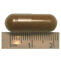 Herbs Hands Healing PumpBeet Capsules