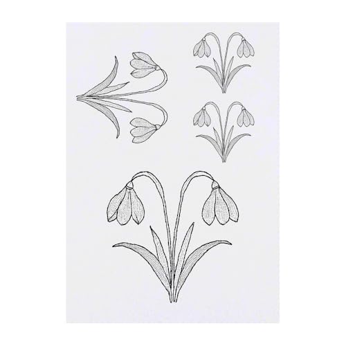 Azeeda 4 x 'Snowdrop Flowers' Temporary Tattoos - Water Resistant, Skin-Safe, Non-Toxic Transfers, Mixed Sizes (TO00081616)