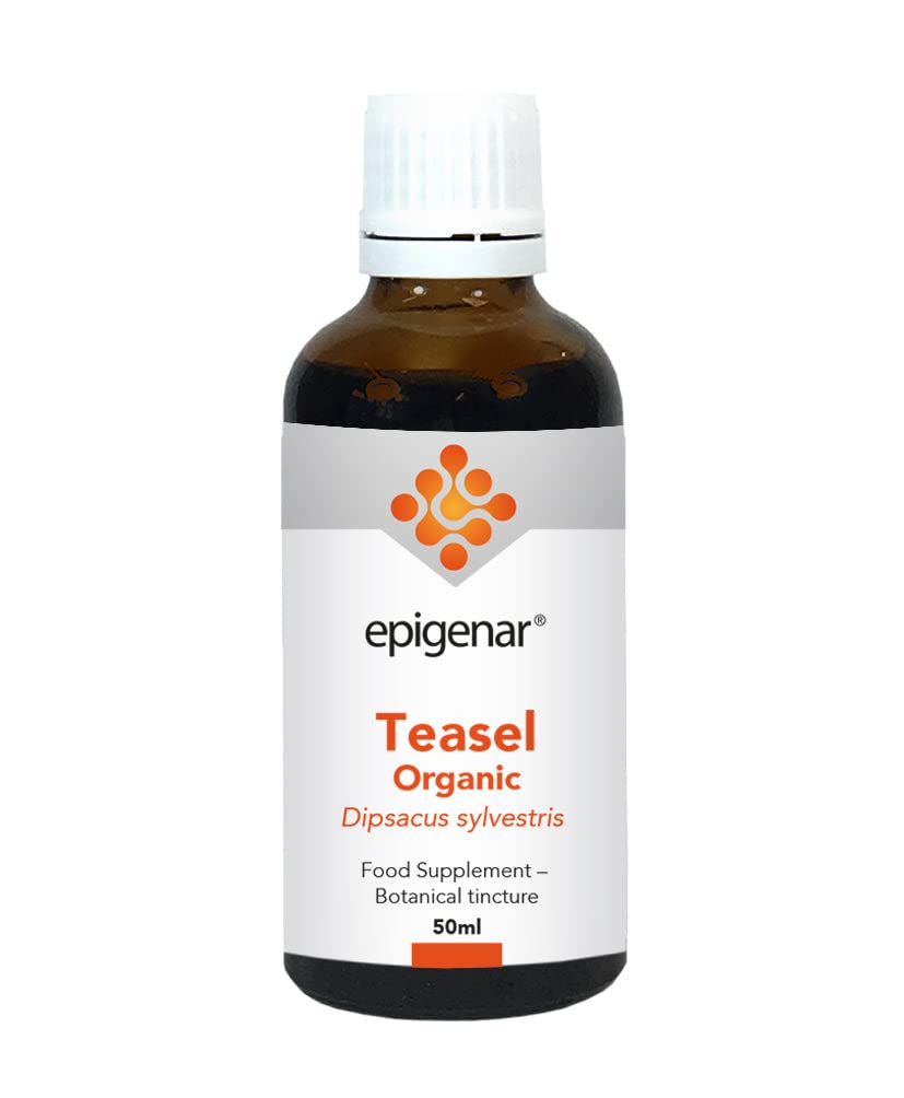 Epigenar Support Epigenar Teasel Organic (Tincture) 50ml
