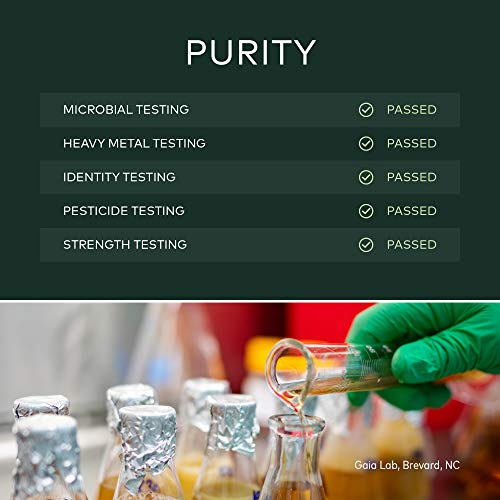 Gaia Herbs Vitex Berry (Chaste Tree) - Supports Hormone Balance & Fertility for Women - Helps Maintain Healthy Progesterone Levels to Support Menstrual Cycle Health - 180 Vegan Caps (90-Day Supply)