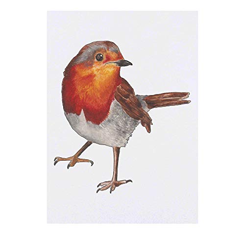Azeeda Large 'Robin' Temporary Tattoo (TO00037998)