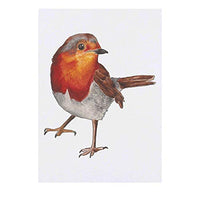 Azeeda Large 'Robin' Temporary Tattoo (TO00037998)