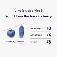 Haskapa Superberry Powder, High in Vitamin C + Antioxidants, Gluten Free, 100g/3.53oz (30 Day Supply)