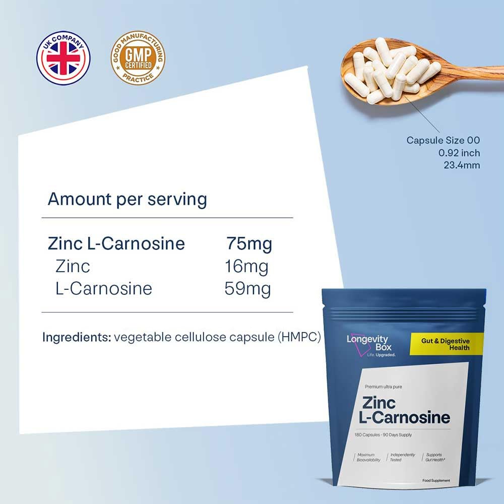Longevity Box Zinc L-Carnosine Supplement - 75mg x 180 Capsules of Maximum Bioavailable Zinc L-Carnosine 2 Per Serving, Supports Gut Health, Nutrient Absorption, Digestive Comfort - 3 Months Supply