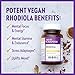 New Chapter Rhodiola Force 300mg with Potent Vegan Rhodiola for Mental Focus & Stamina, Endurance + Mood Support + Stress Adaptogen + Non-GMO Ingredients - 30 Count
