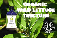 Organic Herbal Remedies Organic herbal Remedies 100ml Wild Lettuce