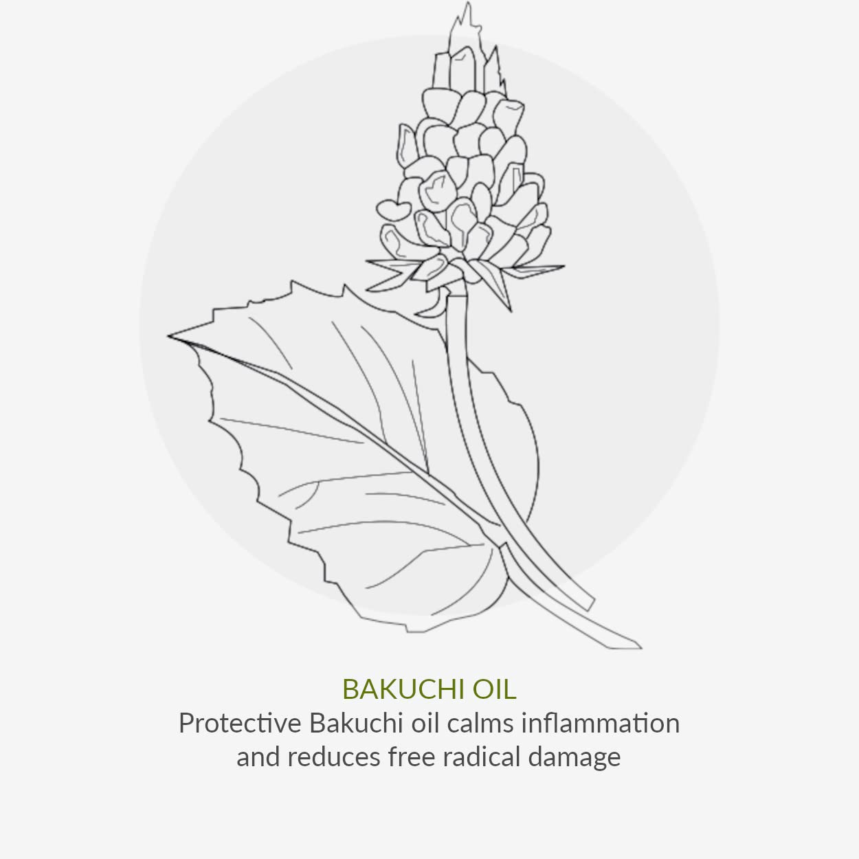 Age Defy+ Collagen Boost Vitamin C Serum 30ml | Natural & Organic Anti-Ageing Facial Serum by Cha Vøhtz | Vitamin C & Hyaluronic Acid Serum | Paraben Free & Ethyl Alcohol Free | Cruelty Free & Vegan