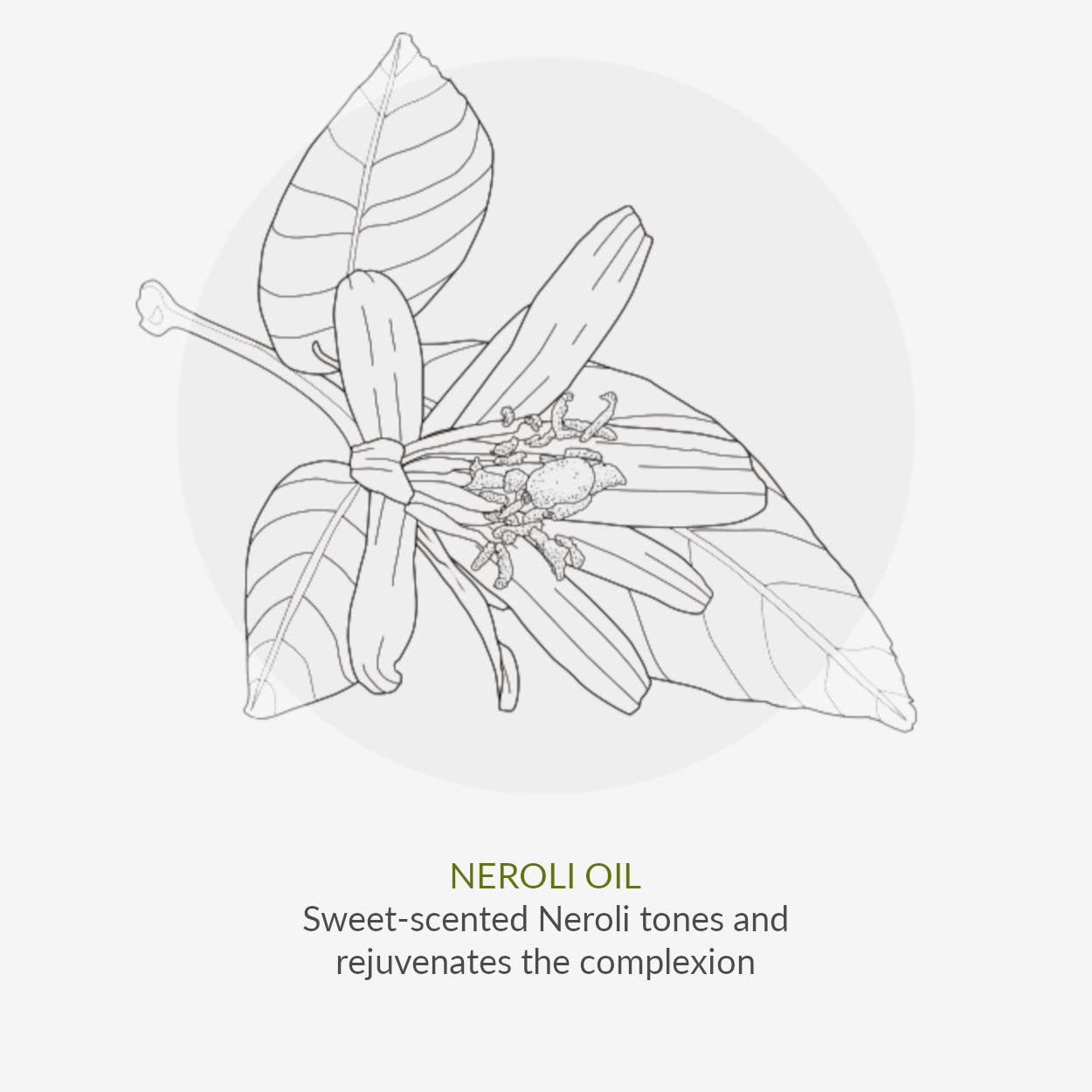 Age Defy+ Collagen Boost Vitamin C Serum 30ml | Natural & Organic Anti-Ageing Facial Serum by Cha Vøhtz | Vitamin C & Hyaluronic Acid Serum | Paraben Free & Ethyl Alcohol Free | Cruelty Free & Vegan